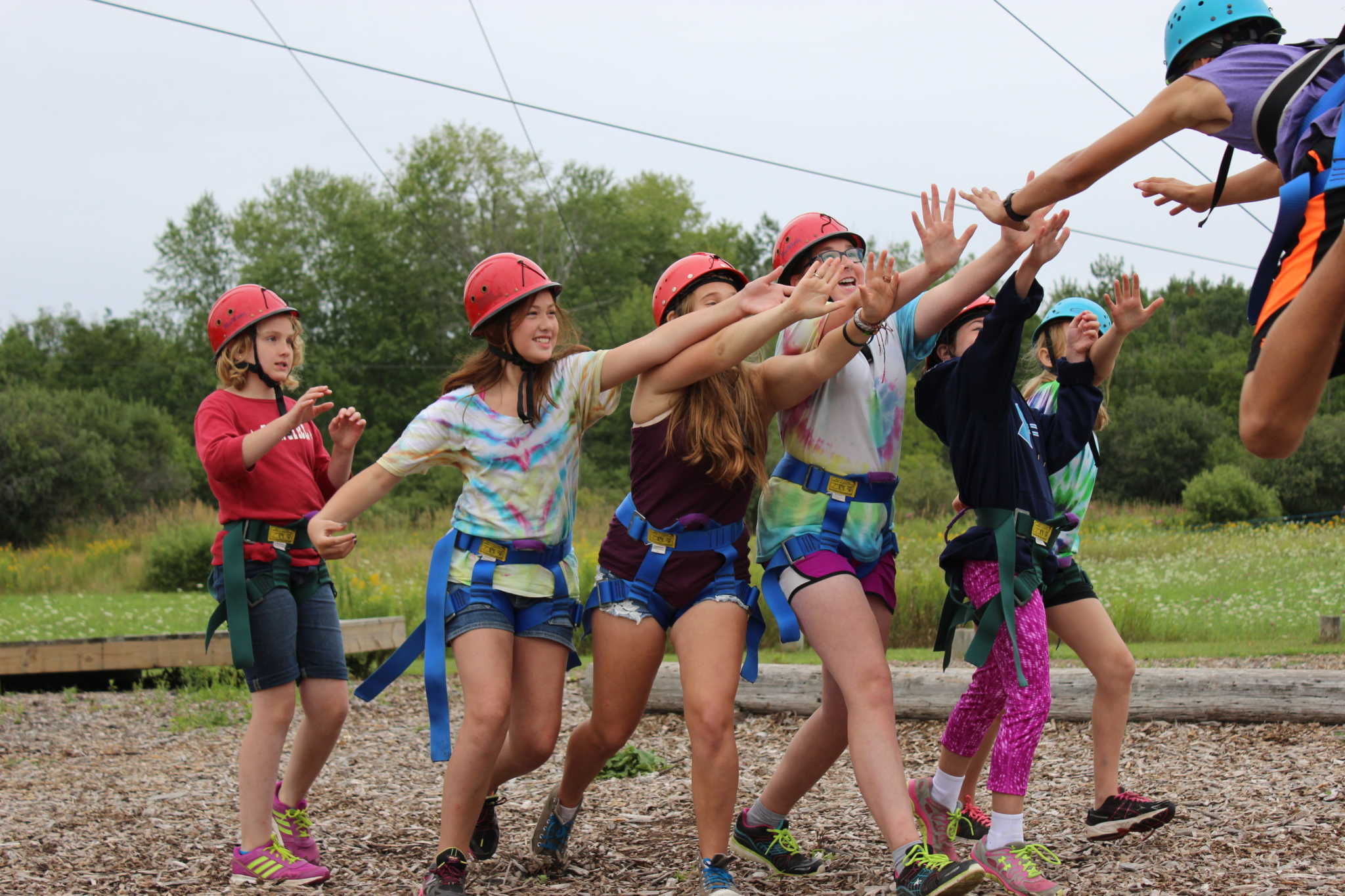 Scout Programming