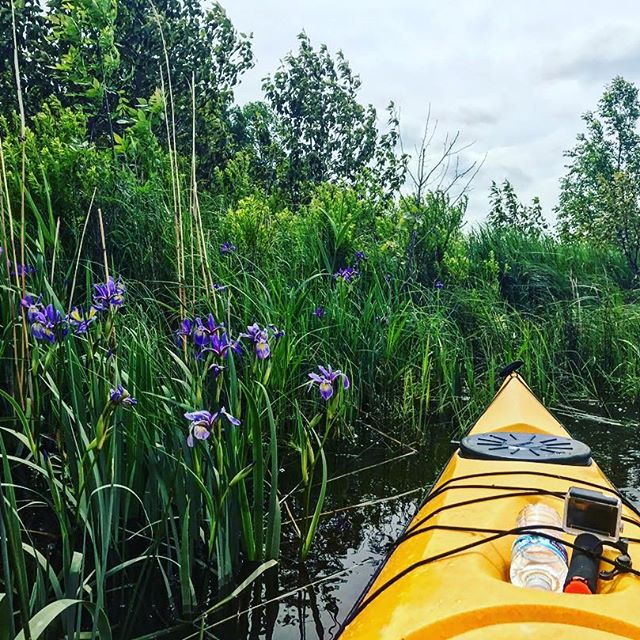 Zip & Kayak Package – Rowley’s Bay