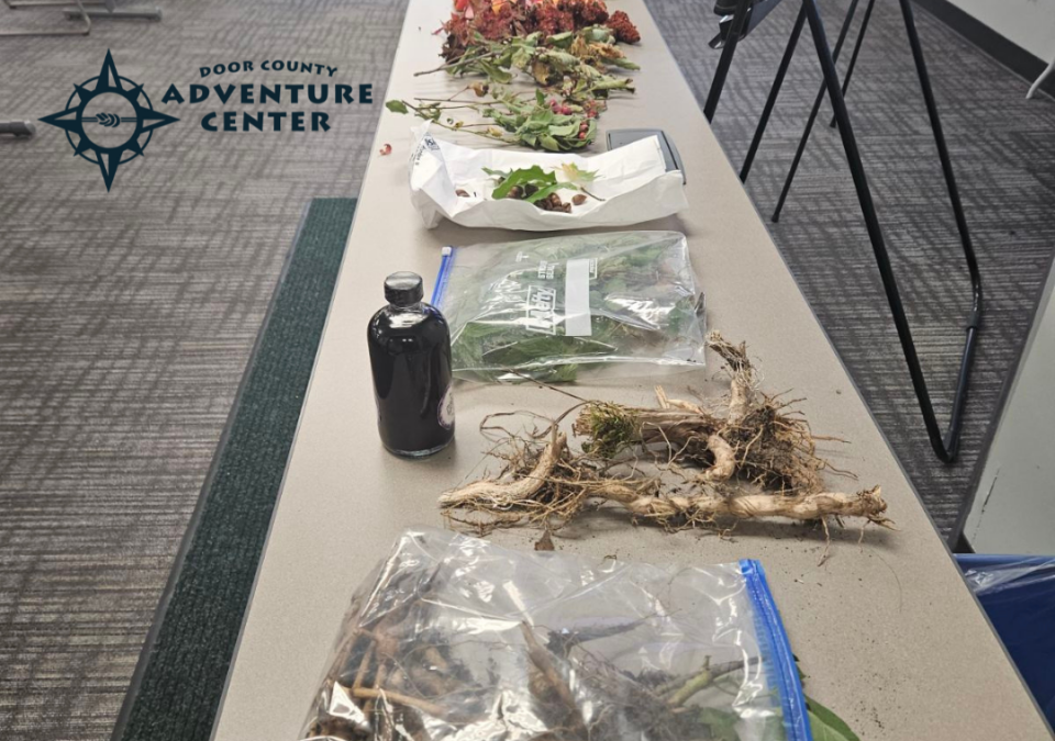 BOW Door County Foraging and Wild Edibles Workshop