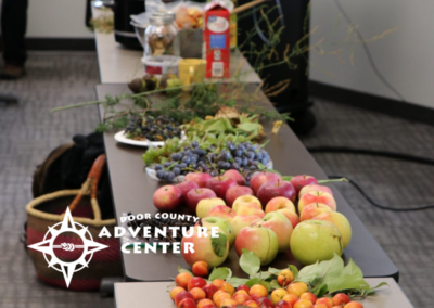 BOW foraging and wild edibles workshop